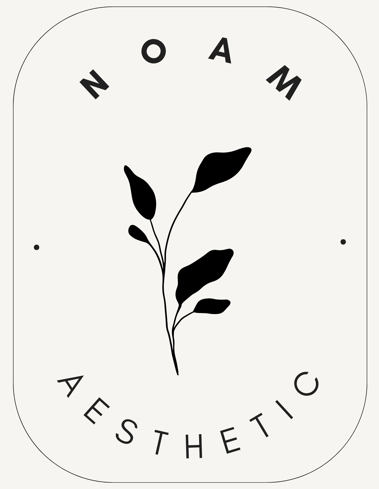 noam-aesthetic